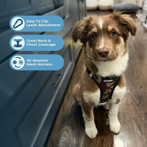 Best Pet Supplies Voyager Step-in Air Dog Harness - All Weather Mesh, Reflective, No Pull Harness for Small, Medium Dogs, Cats - Secure with Hook & Loop Fastener, Buckle, Double D-Rings - Fuchsia, S - Image 114