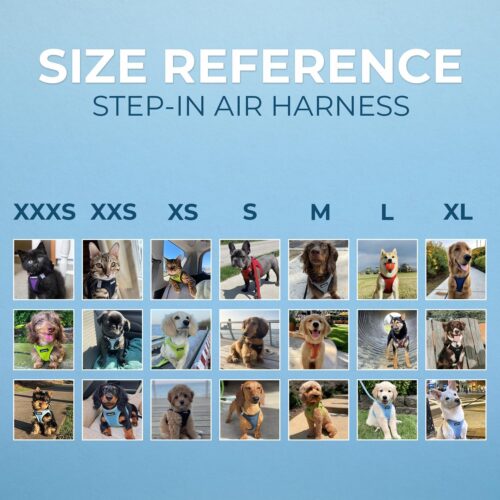 Best Pet Supplies Voyager Step-in Air Dog Harness - All Weather Mesh, Reflective, No Pull Harness for Small, Medium Dogs, Cats - Secure with Hook & Loop Fastener, Buckle, Double D-Rings - Fuchsia, S - Image 117