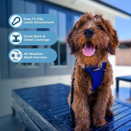 Best Pet Supplies Voyager Step-in Air Dog Harness - All Weather Mesh, Reflective, No Pull Harness for Small, Medium Dogs, Cats - Secure with Hook & Loop Fastener, Buckle, Double D-Rings - Fuchsia, S - Image 123