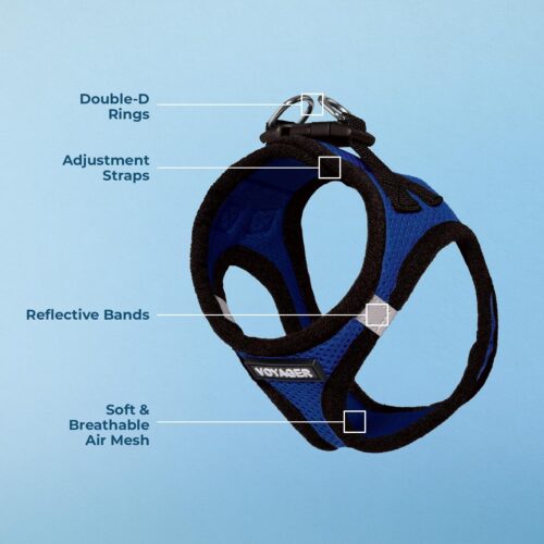 Best Pet Supplies Voyager Step-in Air Dog Harness - All Weather Mesh, Reflective, No Pull Harness for Small, Medium Dogs, Cats - Secure with Hook & Loop Fastener, Buckle, Double D-Rings - Fuchsia, S - Image 124
