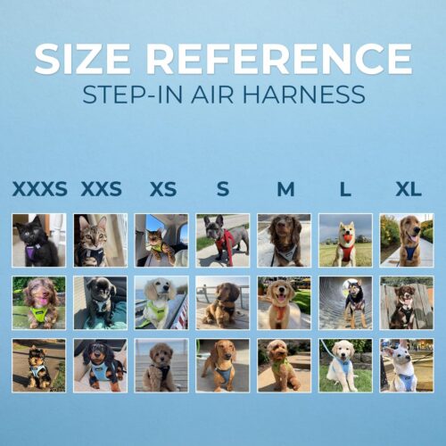 Best Pet Supplies Voyager Step-in Air Dog Harness - All Weather Mesh, Reflective, No Pull Harness for Small, Medium Dogs, Cats - Secure with Hook & Loop Fastener, Buckle, Double D-Rings - Fuchsia, S - Image 126