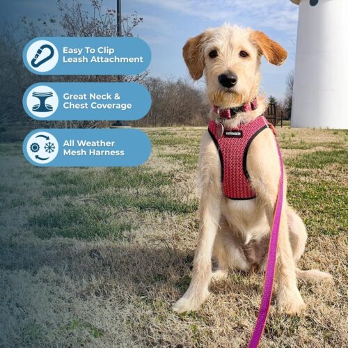 Best Pet Supplies Voyager Step-in Air Dog Harness - All Weather Mesh, Reflective, No Pull Harness for Small, Medium Dogs, Cats - Secure with Hook & Loop Fastener, Buckle, Double D-Rings - Fuchsia, S - Image 131