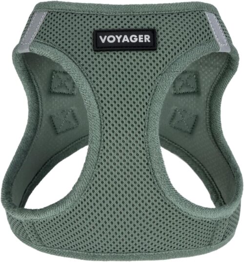 Best Pet Supplies Voyager Step-in Air Dog Harness - All Weather Mesh, Reflective, No Pull Harness for Small, Medium Dogs, Cats - Secure with Hook & Loop Fastener, Buckle, Double D-Rings - Fuchsia, S - Image 137