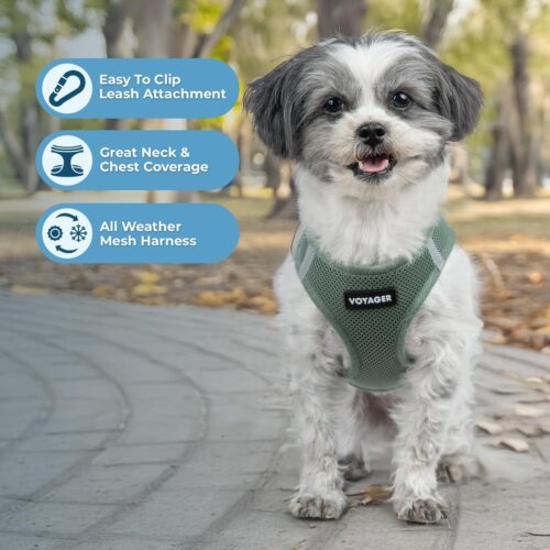 Best Pet Supplies Voyager Step-in Air Dog Harness - All Weather Mesh, Reflective, No Pull Harness for Small, Medium Dogs, Cats - Secure with Hook & Loop Fastener, Buckle, Double D-Rings - Fuchsia, S - Image 138