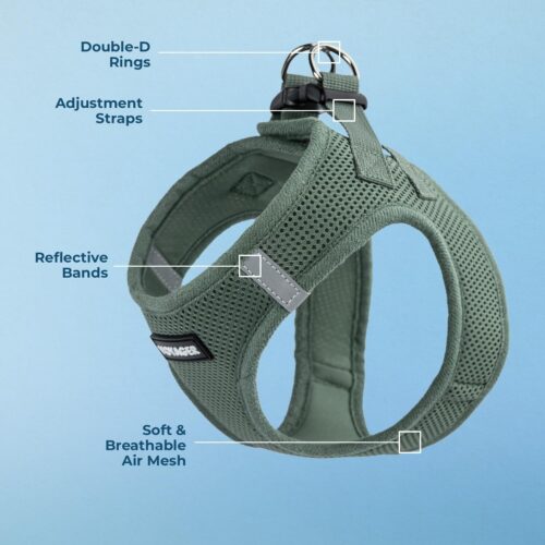 Best Pet Supplies Voyager Step-in Air Dog Harness - All Weather Mesh, Reflective, No Pull Harness for Small, Medium Dogs, Cats - Secure with Hook & Loop Fastener, Buckle, Double D-Rings - Fuchsia, S - Image 139