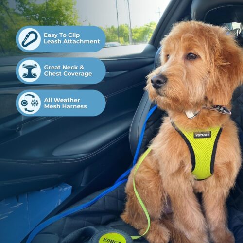 Best Pet Supplies Voyager Step-in Air Dog Harness - All Weather Mesh, Reflective, No Pull Harness for Small, Medium Dogs, Cats - Secure with Hook & Loop Fastener, Buckle, Double D-Rings - Fuchsia, S - Image 146