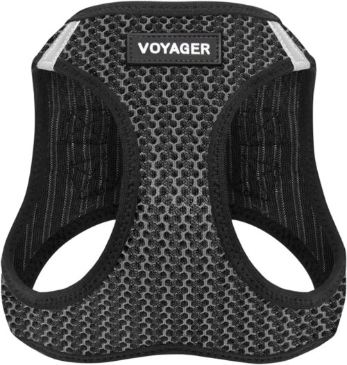 Best Pet Supplies Voyager Step-in Air Dog Harness - All Weather Mesh, Reflective, No Pull Harness for Small, Medium Dogs, Cats - Secure with Hook & Loop Fastener, Buckle, Double D-Rings - Fuchsia, S - Image 153