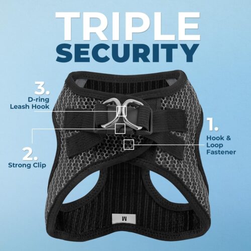 Best Pet Supplies Voyager Step-in Air Dog Harness - All Weather Mesh, Reflective, No Pull Harness for Small, Medium Dogs, Cats - Secure with Hook & Loop Fastener, Buckle, Double D-Rings - Fuchsia, S - Image 154