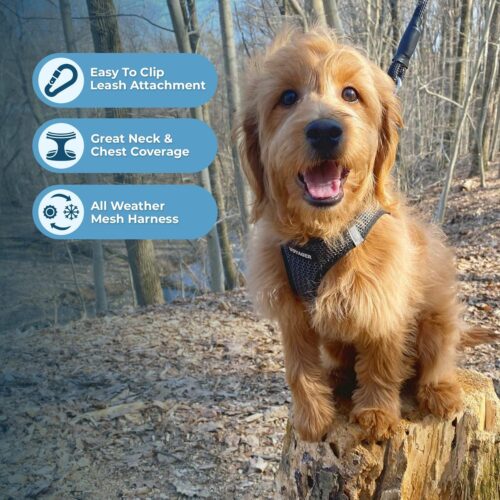 Best Pet Supplies Voyager Step-in Air Dog Harness - All Weather Mesh, Reflective, No Pull Harness for Small, Medium Dogs, Cats - Secure with Hook & Loop Fastener, Buckle, Double D-Rings - Fuchsia, S - Image 155