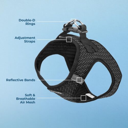 Best Pet Supplies Voyager Step-in Air Dog Harness - All Weather Mesh, Reflective, No Pull Harness for Small, Medium Dogs, Cats - Secure with Hook & Loop Fastener, Buckle, Double D-Rings - Fuchsia, S - Image 156