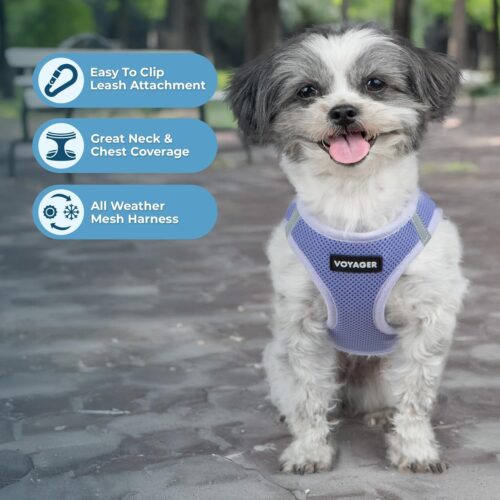 Best Pet Supplies Voyager Step-in Air Dog Harness - All Weather Mesh, Reflective, No Pull Harness for Small, Medium Dogs, Cats - Secure with Hook & Loop Fastener, Buckle, Double D-Rings - Fuchsia, S - Image 173