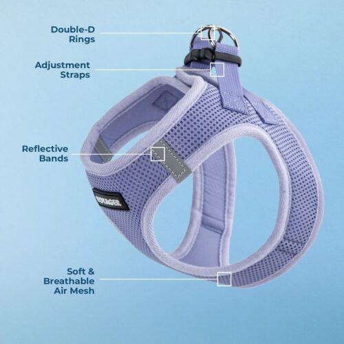 Best Pet Supplies Voyager Step-in Air Dog Harness - All Weather Mesh, Reflective, No Pull Harness for Small, Medium Dogs, Cats - Secure with Hook & Loop Fastener, Buckle, Double D-Rings - Fuchsia, S - Image 174