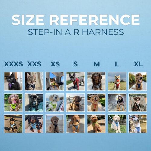 Best Pet Supplies Voyager Step-in Air Dog Harness - All Weather Mesh, Reflective, No Pull Harness for Small, Medium Dogs, Cats - Secure with Hook & Loop Fastener, Buckle, Double D-Rings - Fuchsia, S - Image 184