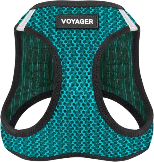 Best Pet Supplies Voyager Step-in Air Dog Harness - All Weather Mesh, Reflective, No Pull Harness for Small, Medium Dogs, Cats - Secure with Hook & Loop Fastener, Buckle, Double D-Rings - Fuchsia, S - Image 188