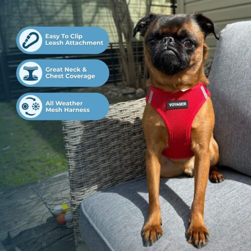 Best Pet Supplies Voyager Step-in Air Dog Harness - All Weather Mesh, Reflective, No Pull Harness for Small, Medium Dogs, Cats - Secure with Hook & Loop Fastener, Buckle, Double D-Rings - Fuchsia, S - Image 199