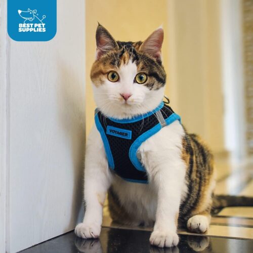 Best Pet Supplies Voyager Step-in Air Dog Harness - All Weather Mesh, Reflective, No Pull Harness for Small, Medium Dogs, Cats - Secure with Hook & Loop Fastener, Buckle, Double D-Rings - Fuchsia, S - Image 206