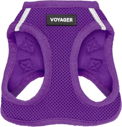 Best Pet Supplies Voyager Step-in Air Dog Harness - All Weather Mesh, Reflective, No Pull Harness for Small, Medium Dogs, Cats - Secure with Hook & Loop Fastener, Buckle, Double D-Rings - Fuchsia, S - Image 207