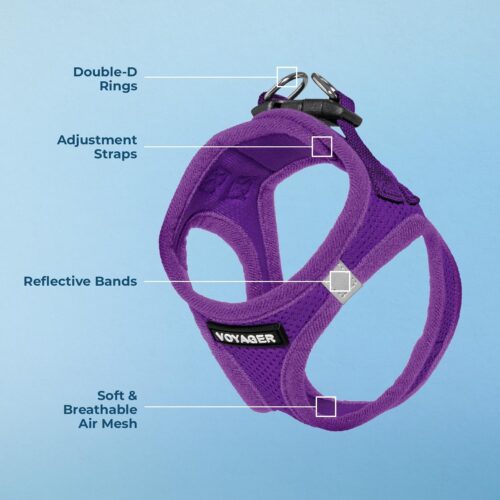 Best Pet Supplies Voyager Step-in Air Dog Harness - All Weather Mesh, Reflective, No Pull Harness for Small, Medium Dogs, Cats - Secure with Hook & Loop Fastener, Buckle, Double D-Rings - Fuchsia, S - Image 210