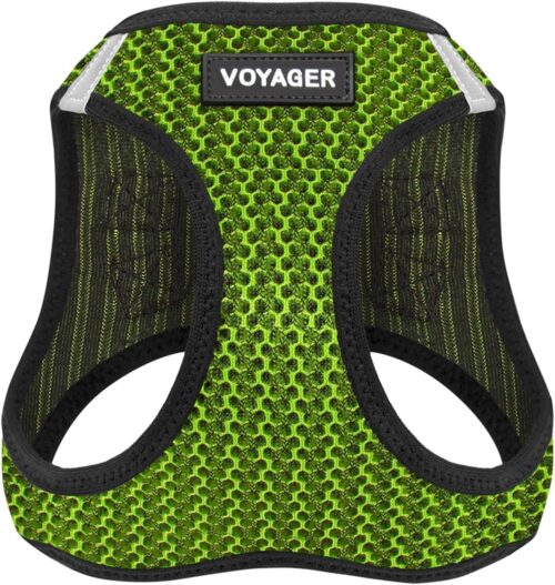 Best Pet Supplies Voyager Step-in Air Dog Harness - All Weather Mesh, Reflective, No Pull Harness for Small, Medium Dogs, Cats - Secure with Hook & Loop Fastener, Buckle, Double D-Rings - Fuchsia, S - Image 215