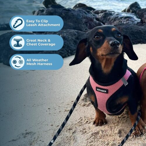 Best Pet Supplies Voyager Step-in Air Dog Harness - All Weather Mesh, Reflective, No Pull Harness for Small, Medium Dogs, Cats - Secure with Hook & Loop Fastener, Buckle, Double D-Rings - Fuchsia, S - Image 234