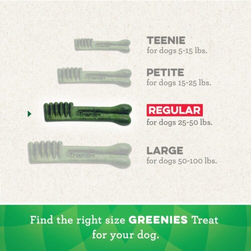 Greenies Original Teenie Natural Dental Care Dog Treats, 12 oz. Pouch (43 Treats) - Image 106
