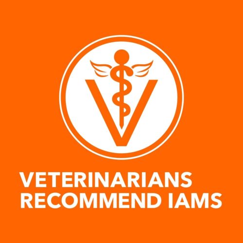 IAMS Proactive Health Indoor Weight & Hairball Care Adult Dry Cat Food with Chicken & Turkey, 7 lb. Bag - Image 5