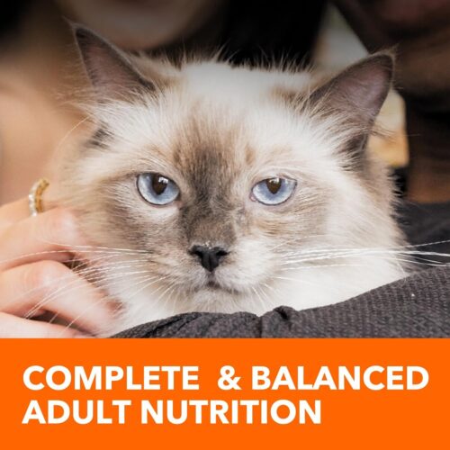 IAMS Proactive Health Indoor Weight & Hairball Care Adult Dry Cat Food with Chicken & Turkey, 7 lb. Bag - Image 10