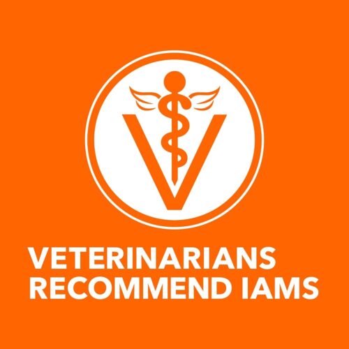 IAMS Proactive Health Indoor Weight & Hairball Care Adult Dry Cat Food with Chicken & Turkey, 7 lb. Bag - Image 32