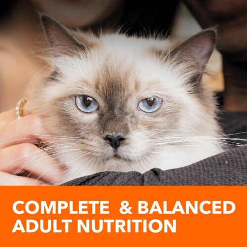 IAMS Proactive Health Indoor Weight & Hairball Care Adult Dry Cat Food with Chicken & Turkey, 7 lb. Bag - Image 36