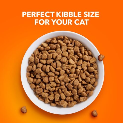 IAMS Proactive Health Indoor Weight & Hairball Care Adult Dry Cat Food with Chicken & Turkey, 7 lb. Bag - Image 43
