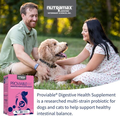 Nutramax Laboratories 30 Count Proviable Health Supplement for Cats and Dogs (PROVDC30) - Image 3
