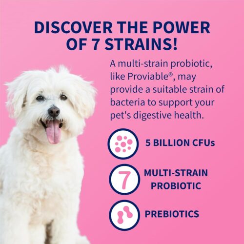 Nutramax Laboratories 30 Count Proviable Health Supplement for Cats and Dogs (PROVDC30) - Image 5