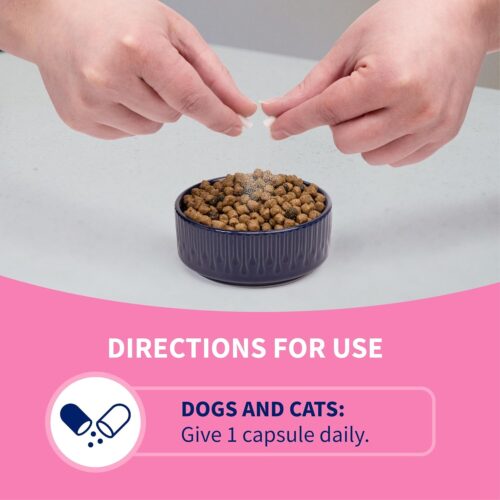 Nutramax Laboratories 30 Count Proviable Health Supplement for Cats and Dogs (PROVDC30) - Image 6
