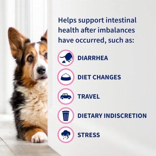 Nutramax Laboratories 30 Count Proviable Health Supplement for Cats and Dogs (PROVDC30) - Image 8