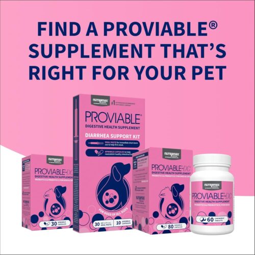 Nutramax Laboratories 30 Count Proviable Health Supplement for Cats and Dogs (PROVDC30) - Image 11