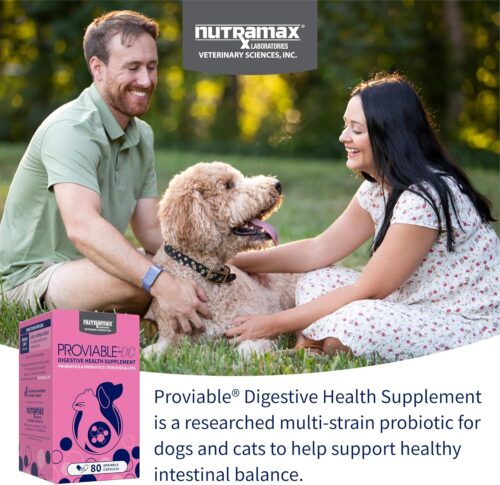 Nutramax Laboratories 30 Count Proviable Health Supplement for Cats and Dogs (PROVDC30) - Image 15