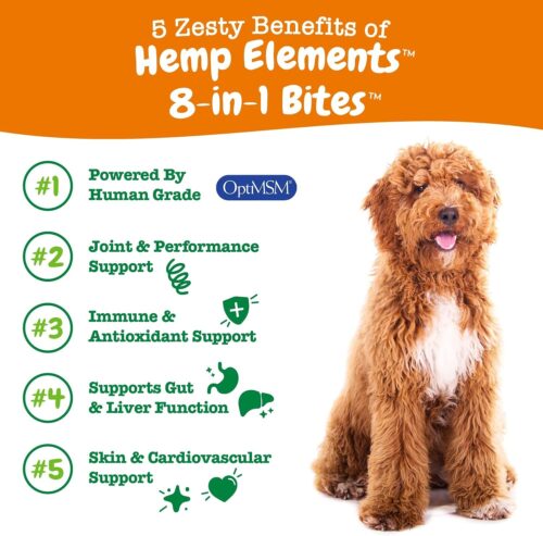 Zesty Paws Multivitamin Treats for Dogs - Glucosamine Chondroitin for Joint Support + Digestive Enzymes & Probiotics - Grain Free Dog Vitamin for Skin & Coat + Immune Health - Chicken Flavor - 90ct - Image 23