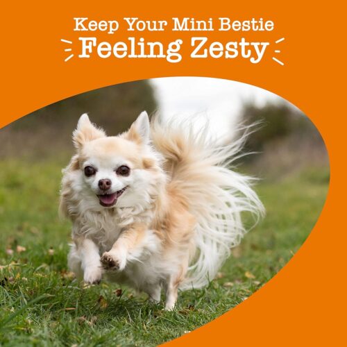 Zesty Paws Multivitamin Treats for Dogs - Glucosamine Chondroitin for Joint Support + Digestive Enzymes & Probiotics - Grain Free Dog Vitamin for Skin & Coat + Immune Health - Chicken Flavor - 90ct - Image 36