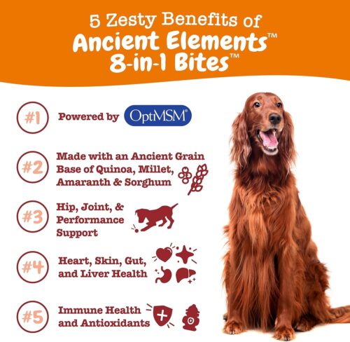 Zesty Paws Multivitamin Treats for Dogs - Glucosamine Chondroitin for Joint Support + Digestive Enzymes & Probiotics - Grain Free Dog Vitamin for Skin & Coat + Immune Health - Chicken Flavor - 90ct - Image 42