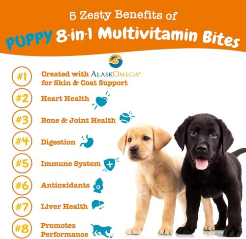 Zesty Paws Multivitamin Treats for Dogs - Glucosamine Chondroitin for Joint Support + Digestive Enzymes & Probiotics - Grain Free Dog Vitamin for Skin & Coat + Immune Health - Chicken Flavor - 90ct - Image 48