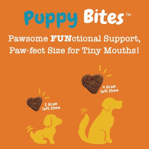 Zesty Paws Multivitamin Treats for Dogs - Glucosamine Chondroitin for Joint Support + Digestive Enzymes & Probiotics - Grain Free Dog Vitamin for Skin & Coat + Immune Health - Chicken Flavor - 90ct - Image 52