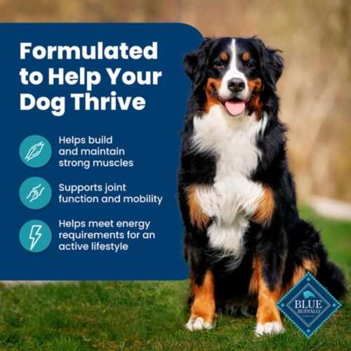 Blue Buffalo Life Protection Formula Adult Dry Dog Food, Helps Build and Maintain Strong Muscles, Made with Natural Ingredients, Chicken & Brown Rice Recipe, 30-lb. Bag - Image 107