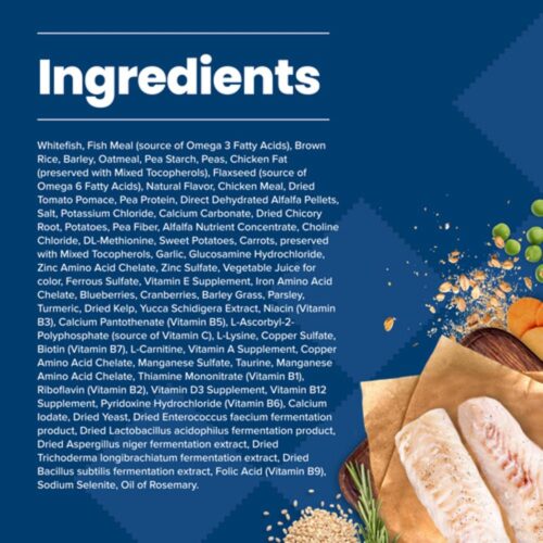 Blue Buffalo Life Protection Formula Adult Dry Dog Food, Helps Build and Maintain Strong Muscles, Made with Natural Ingredients, Chicken & Brown Rice Recipe, 30-lb. Bag - Image 108