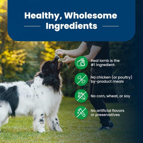 Blue Buffalo Life Protection Formula Adult Dry Dog Food, Helps Build and Maintain Strong Muscles, Made with Natural Ingredients, Chicken & Brown Rice Recipe, 30-lb. Bag - Image 130