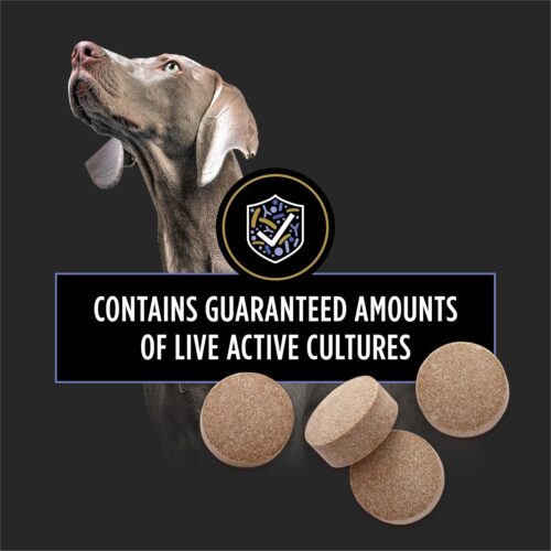 Purina Pro Plan Veterinary Supplements FortiFlora Dog Probiotic Supplement, Canine Nutritional Supplement - 30 Ct. Box - Image 13