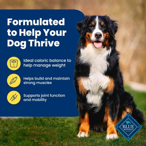 Blue Buffalo Life Protection Formula Adult Dry Dog Food, Helps Build and Maintain Strong Muscles, Made with Natural Ingredients, Chicken & Brown Rice Recipe, 30-lb. Bag - Image 161