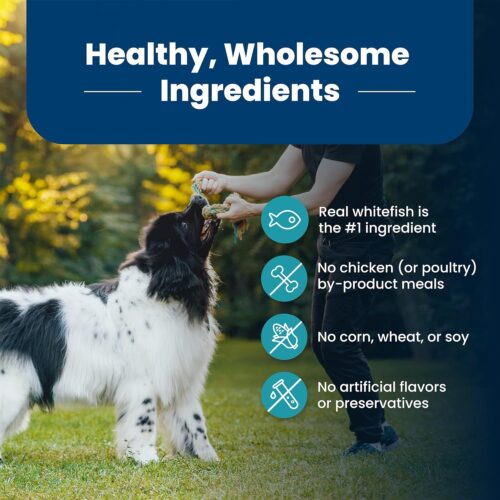 Blue Buffalo Life Protection Formula Adult Dry Dog Food, Helps Build and Maintain Strong Muscles, Made with Natural Ingredients, Chicken & Brown Rice Recipe, 30-lb. Bag - Image 234