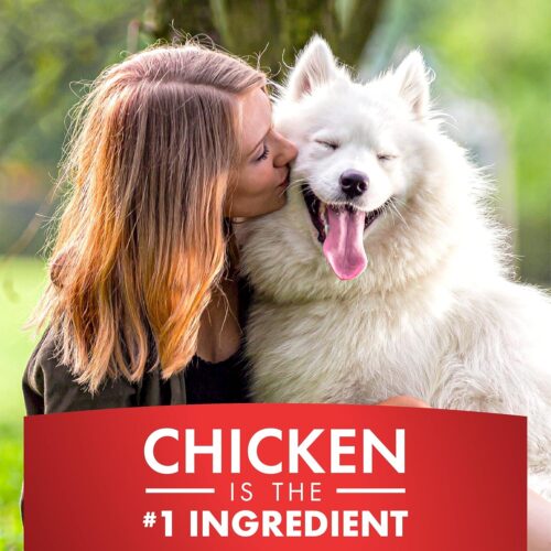 Dog Treats, Chicken Jerky for Dogs, Made with 100% Real Chicken Breast, 16 Ounces, Healthy, Easily Digestible, Long-Lasting, High Protein Dog Treat, Satisfies Dog's Urge to Chew (Pack of 1) - Image 21