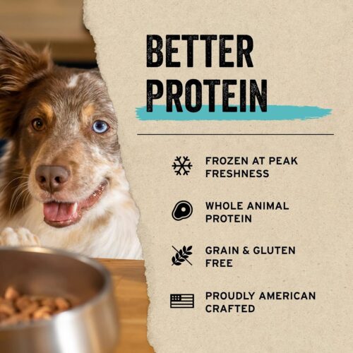 Vital Essentials Freeze Dried Raw Single Ingredient Dog Treats, Beef Liver, 2.1 oz | Premium Quality High Protein Training Treats | Grain Free, Gluten Free, Filler Free - Image 4