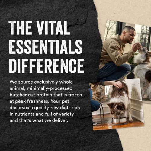 Vital Essentials Freeze Dried Raw Single Ingredient Dog Treats, Beef Liver, 2.1 oz | Premium Quality High Protein Training Treats | Grain Free, Gluten Free, Filler Free - Image 6